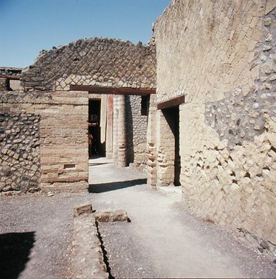 House of the Mosaic Atrium by Roman Roman